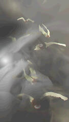 Electric Birds (2022)